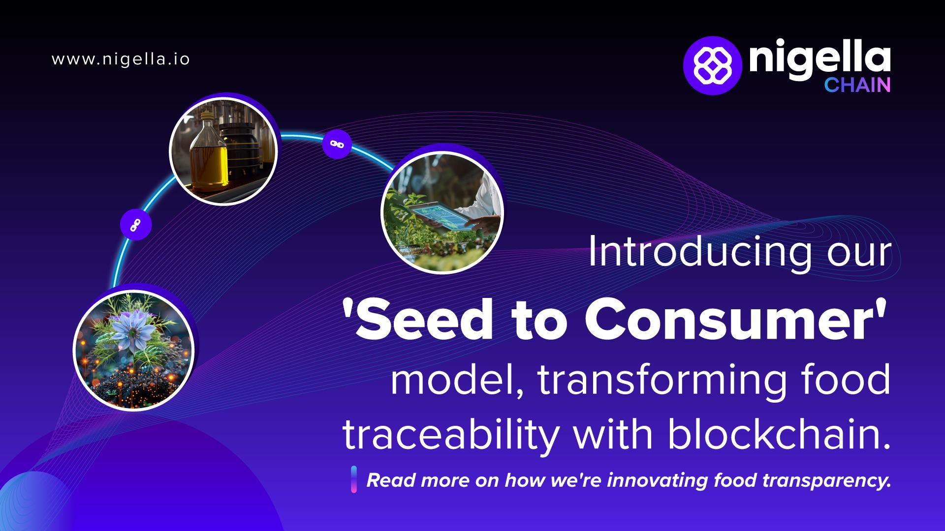 hlkcoin Chain
